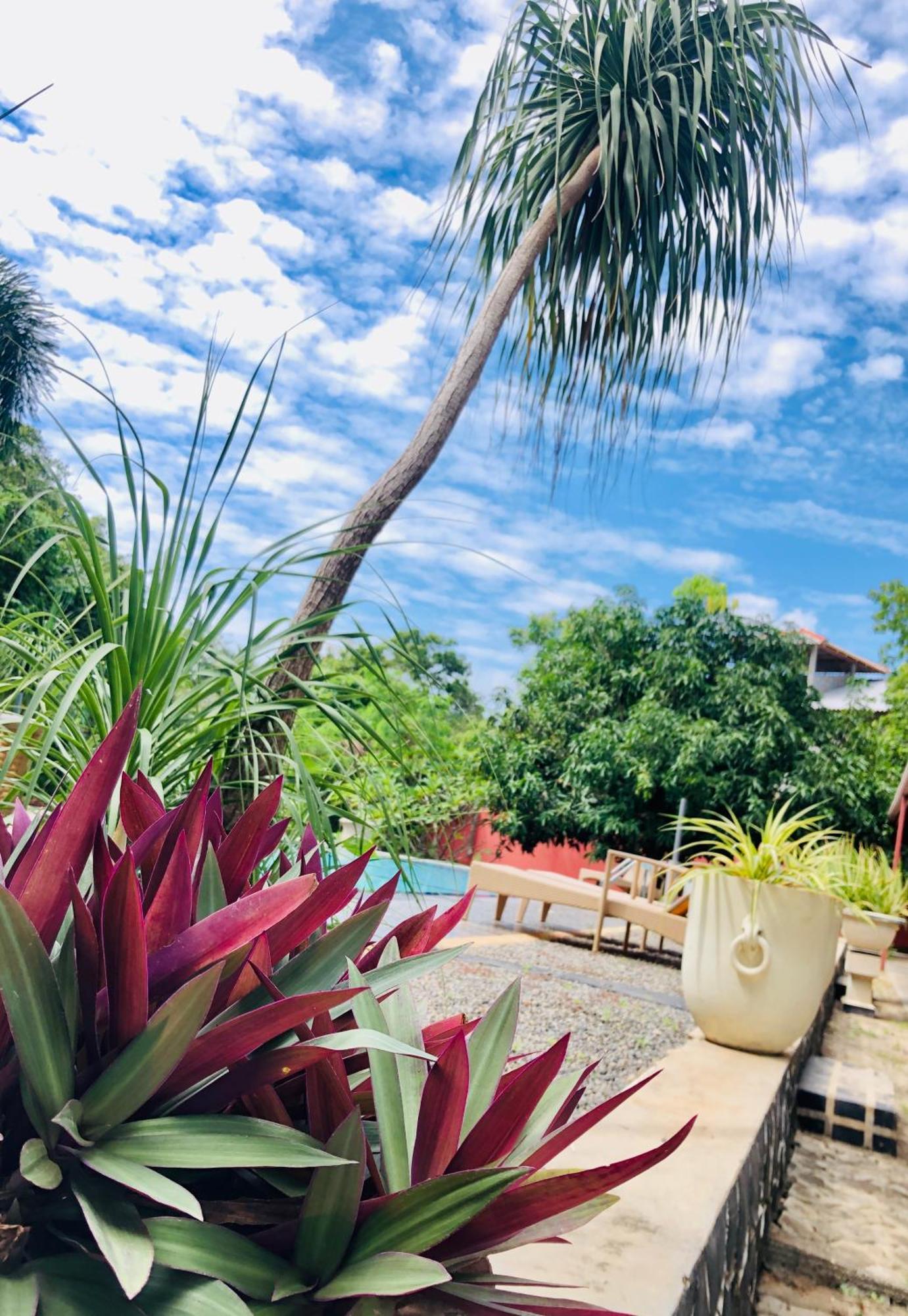 Saman Resort Yala Tissamaharama Εξωτερικό φωτογραφία