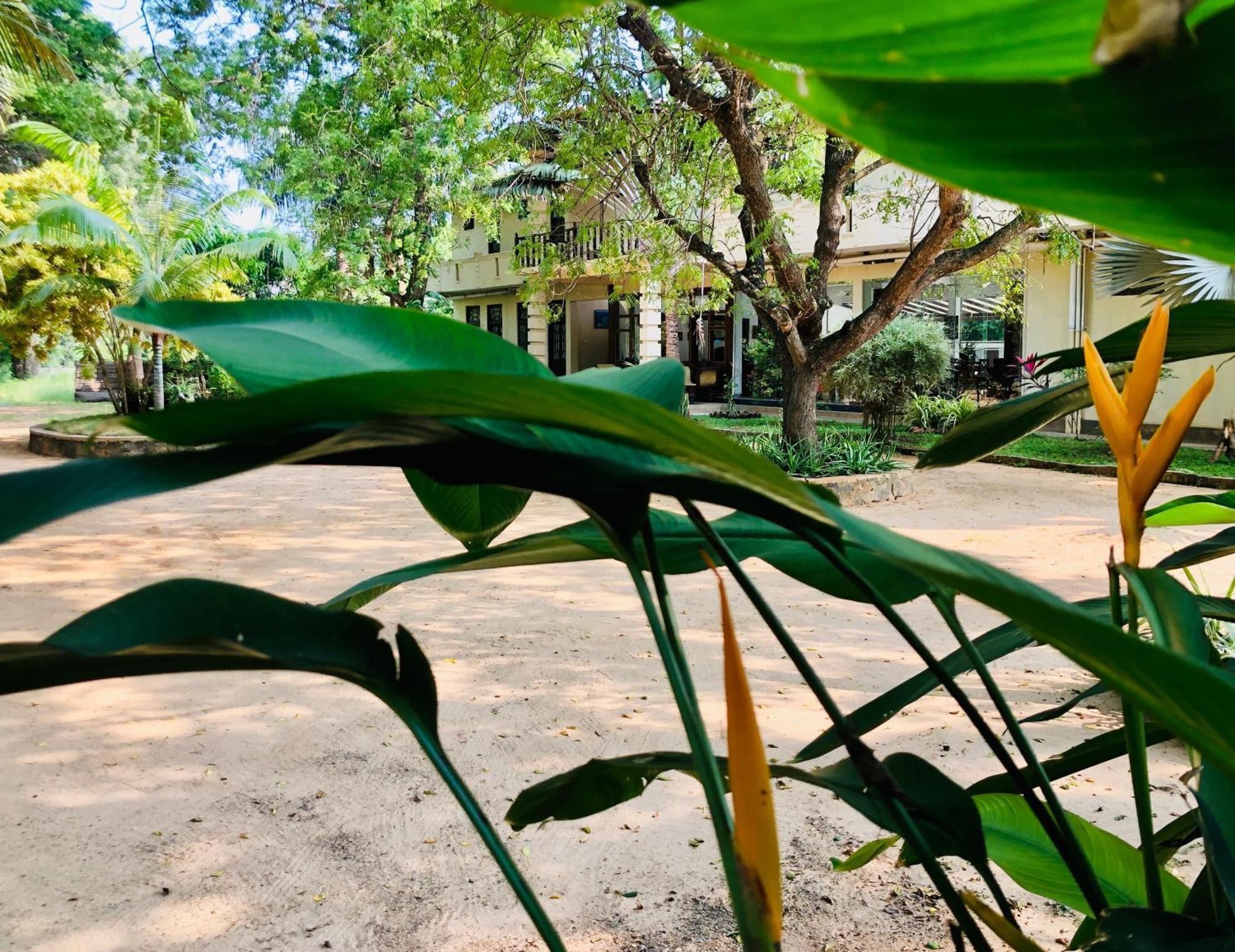 Saman Resort Yala Tissamaharama Εξωτερικό φωτογραφία